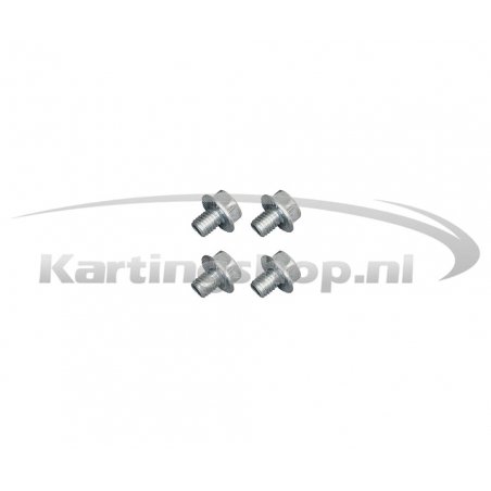 Newline radiator screw set
