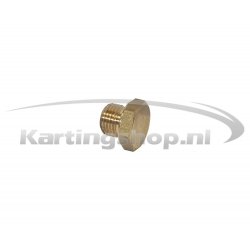 Iame X30 Temperatura Plug