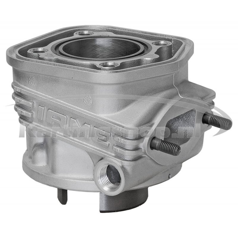 Iame X30 Cilindro