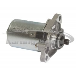 TM 60 cc en Starter motor