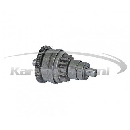 TM 60cc Bendix