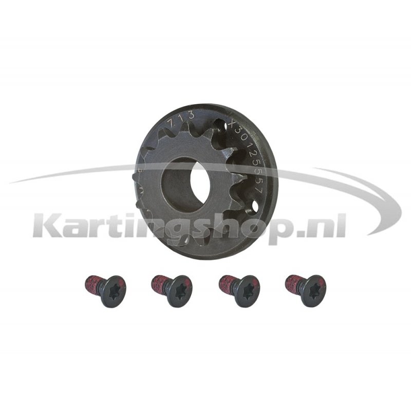 Iame X30 Pignone 13 complete