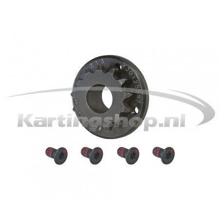 Iame X30 Pignone 13 complete