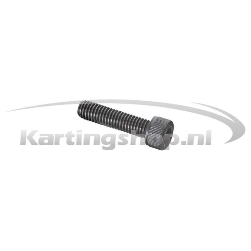 Iame X30 Parafuso allen guarda da cadeia M6×25 mm