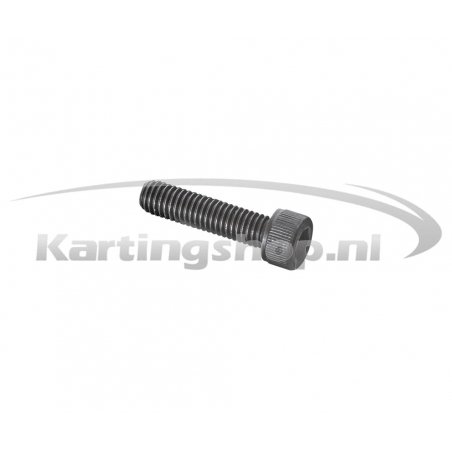 Iame X30 allen Ruuvi ketjun vartija M6×25mm