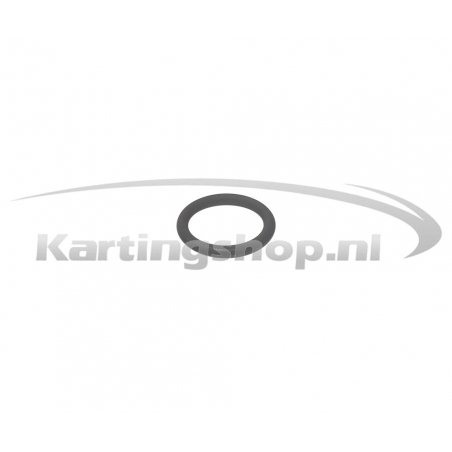 Iame 30 O-ring for kobling