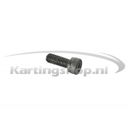 Iame X30 allen Screw M6×16mm