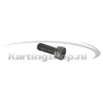Iame X30 cylinderskrue M6×16 mm