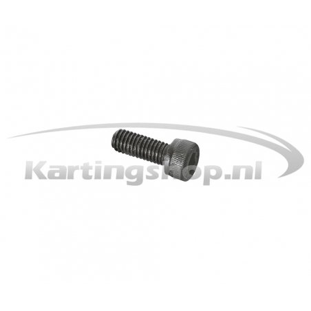 Iame X30 Vite a brugola M6×16mm