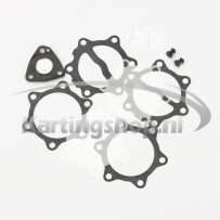 Mikuni Revisieset Special Racing fuel pump 35 litres/hour