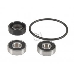 Revisieset De La Bomba De Agua De Aluminio