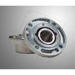 Eccentrico Goldspeed OTK tipo DOT 1 0.50°