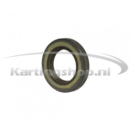 Iame X30 paraolio Albero motore FPJ 25X40X7