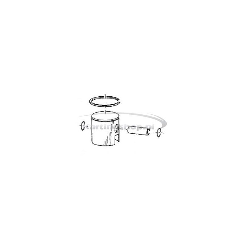 TM 60 cc an Piston 41.88 SK complete