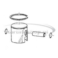 TM 60 cc de un Pistón 41.89 SK completa