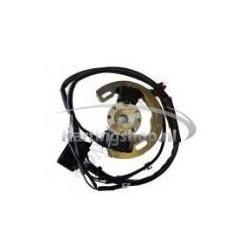 TM 60cc Selletra Ontsteking