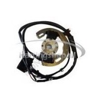 TM 60 cc an Selletra Inflammation