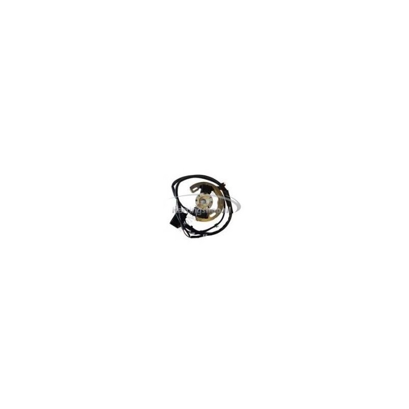 TM 60 cc un Selletra la Inflamación