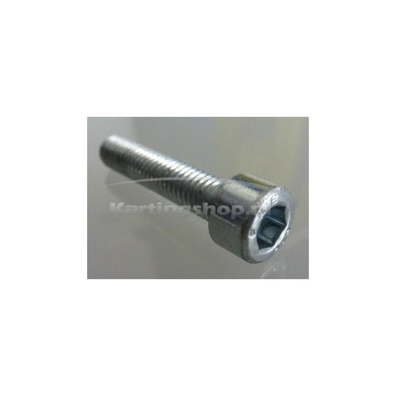 Cilindro perno de cabeza TMKZ10C