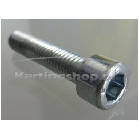 Cilindro perno de cabeza TMKZ10C