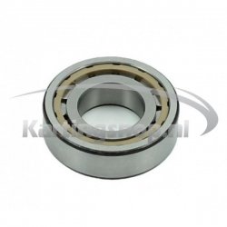 TM KZ10C Kurbelwelle roller bearing SKF BC1