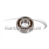 TM KZ10C Cuscinetto a rulli 204ET2x