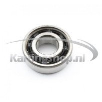 TM KZ10C vevaxel lager 6202 C4