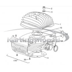 Iame Mini Swift 60cc Cilinder Compleet