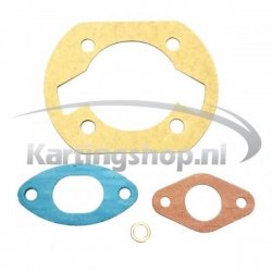 Iame Mini-Swift 60 cc einer Dichtung set