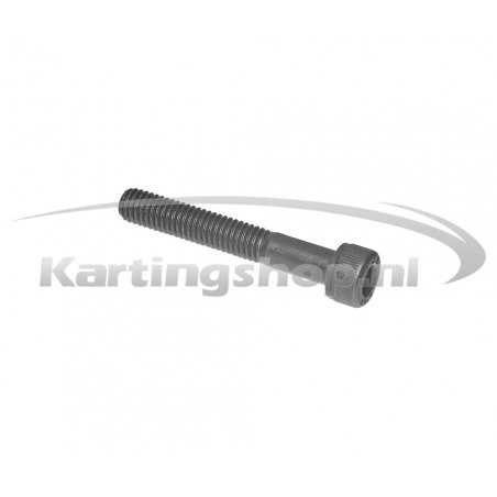 Iame Mini Swift 60 cc en Bolt Link Protector