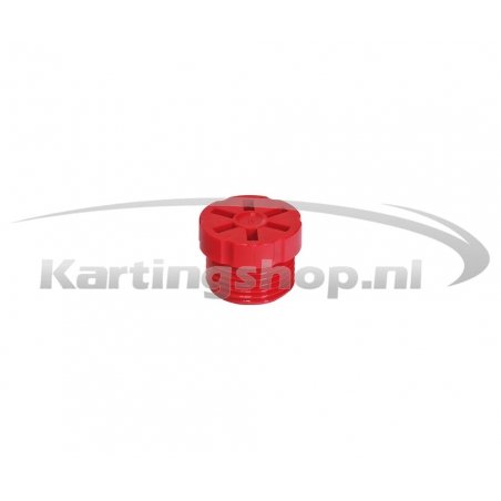 Powervalve Einstellschraube EVO