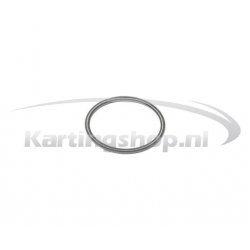 Powervalve Pasveer Small EVO
