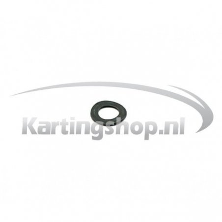 Powervalve spring washer m6