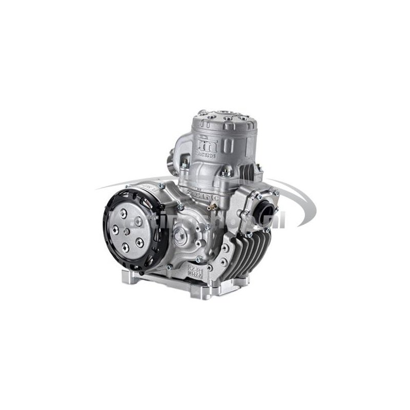 TM KZ R1 Standard motor