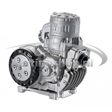 TM KZ R1 Standard motor