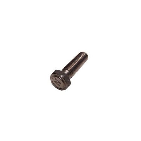 Magnetici Bolt M6, M8 o M10 mm per sensore di velocità